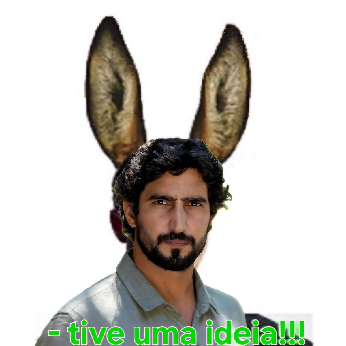 Roberta Pardo da shopee tweet media