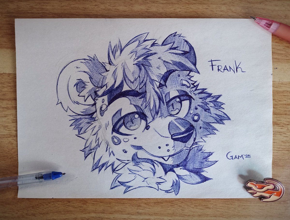 Pen sketch