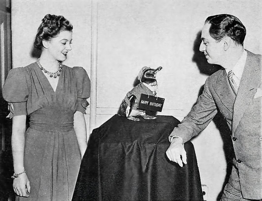 William Powell, Myrna Loy and 🐧

A penguin celebrating William Powell's birthday!