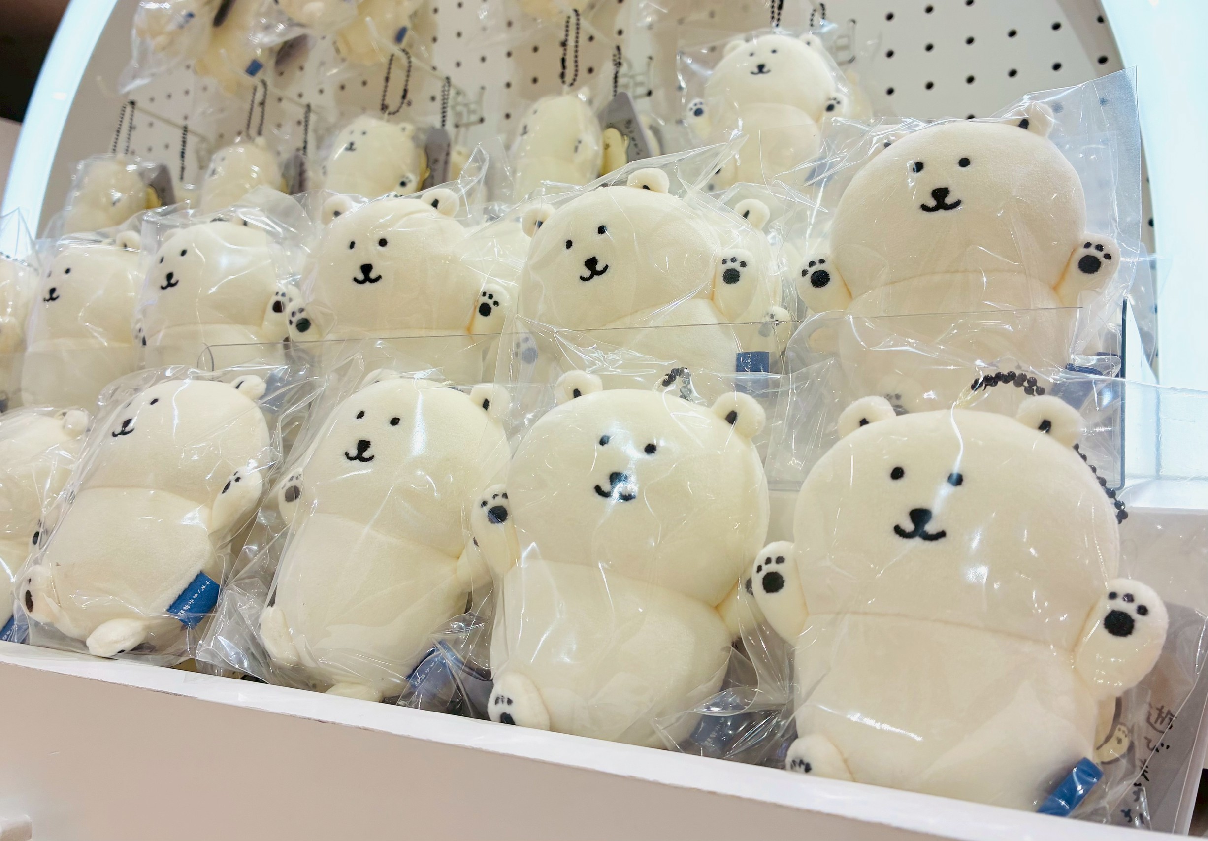 ナガノマーケットSHOP公式 (@nagano_mkt_shop) / X ナガノマーケットSHOP公式 (@nagano_mkt_shop) / X