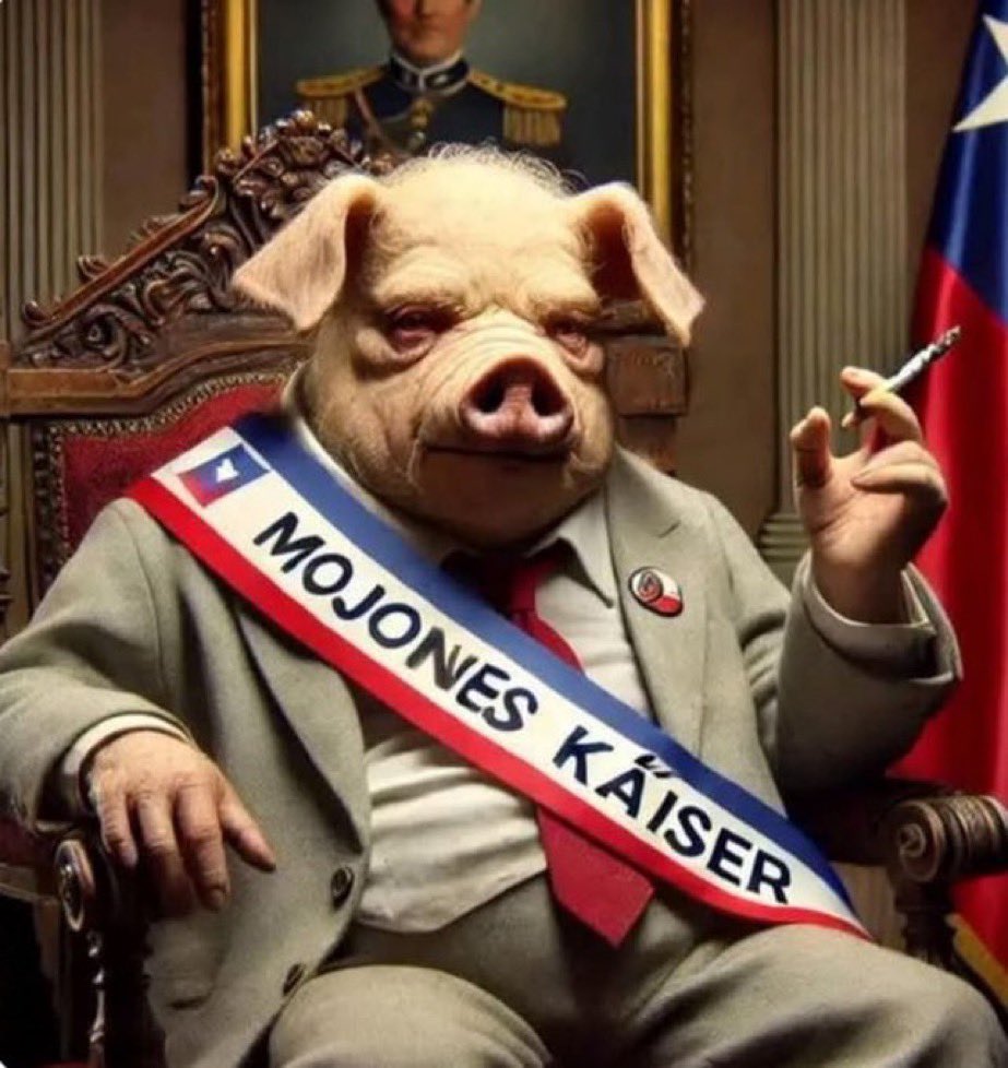 HARRY ARREY tweet media