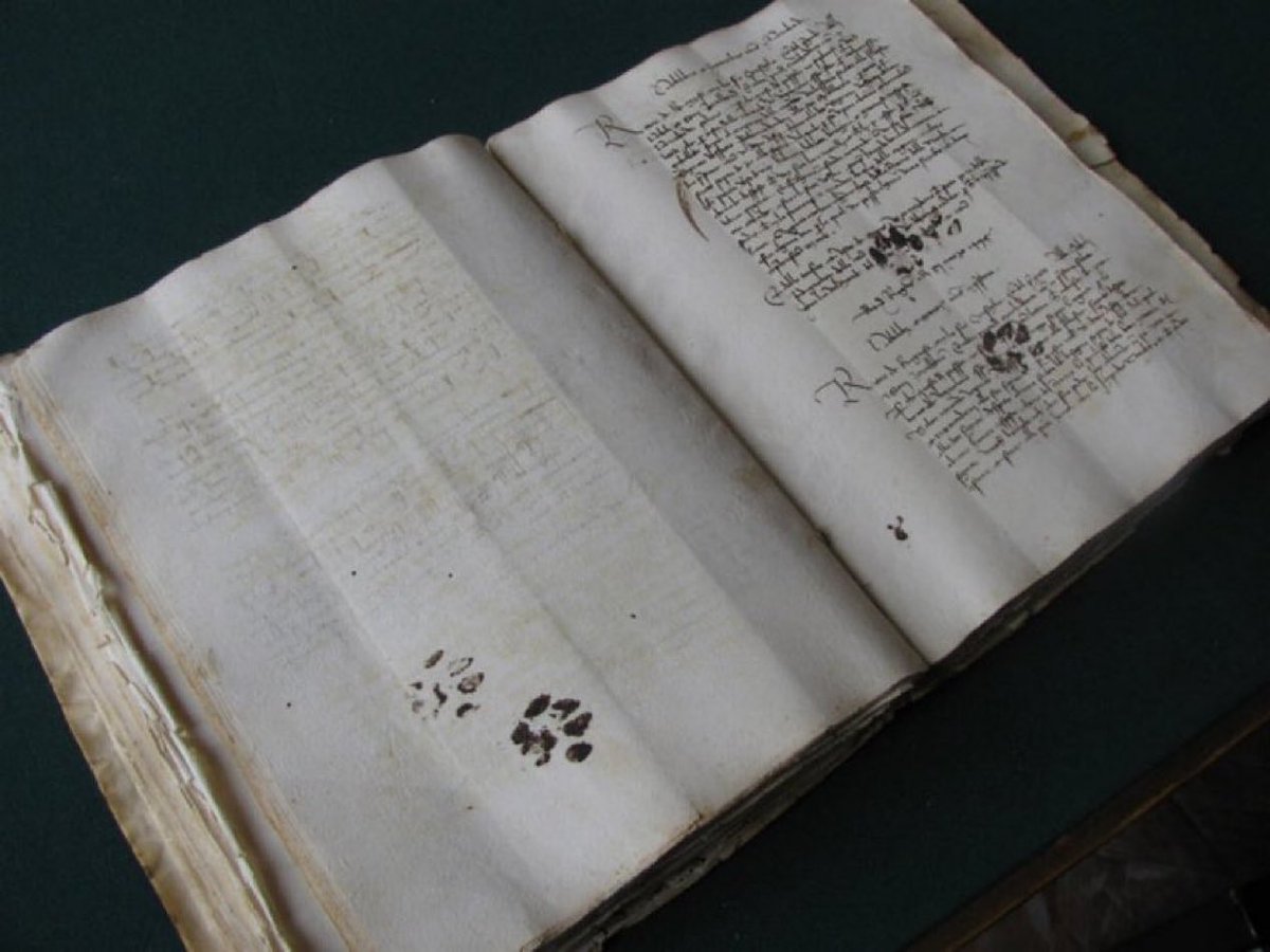 HistoryCalendar's tweet photo. Ink paw prints left on a 15th century manuscript by a cat. https://t.co/Sf2wDLcEPI