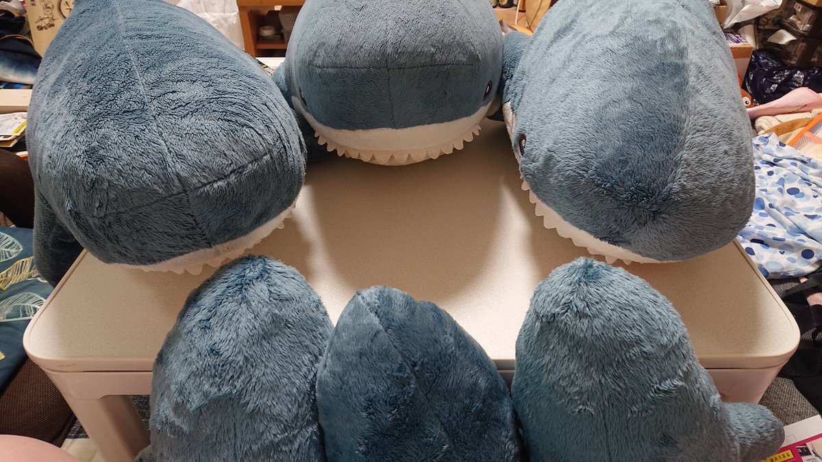 marsh_pointed's tweet image. 最近、IKEAのサメ(ブローハイ)やおでかけ子ザメ好きの方を無言フォローしまくってて、突然なんやコイツ？と思われてるかもしれないので簡単に自己紹介。
ねこあつめ･IKEAのサメ･おでかけ子ザメが大好きおばさんです。
ぬい撮りもしてるよ！
よろしくですm(*_ _)m