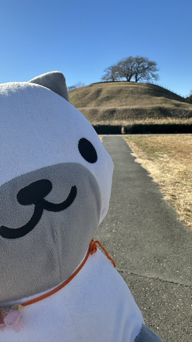 marsh_pointed's tweet image. 最近、IKEAのサメ(ブローハイ)やおでかけ子ザメ好きの方を無言フォローしまくってて、突然なんやコイツ？と思われてるかもしれないので簡単に自己紹介。
ねこあつめ･IKEAのサメ･おでかけ子ザメが大好きおばさんです。
ぬい撮りもしてるよ！
よろしくですm(*_ _)m