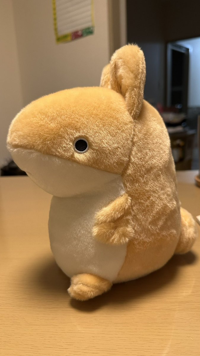 marsh_pointed's tweet image. 最近、IKEAのサメ(ブローハイ)やおでかけ子ザメ好きの方を無言フォローしまくってて、突然なんやコイツ？と思われてるかもしれないので簡単に自己紹介。
ねこあつめ･IKEAのサメ･おでかけ子ザメが大好きおばさんです。
ぬい撮りもしてるよ！
よろしくですm(*_ _)m