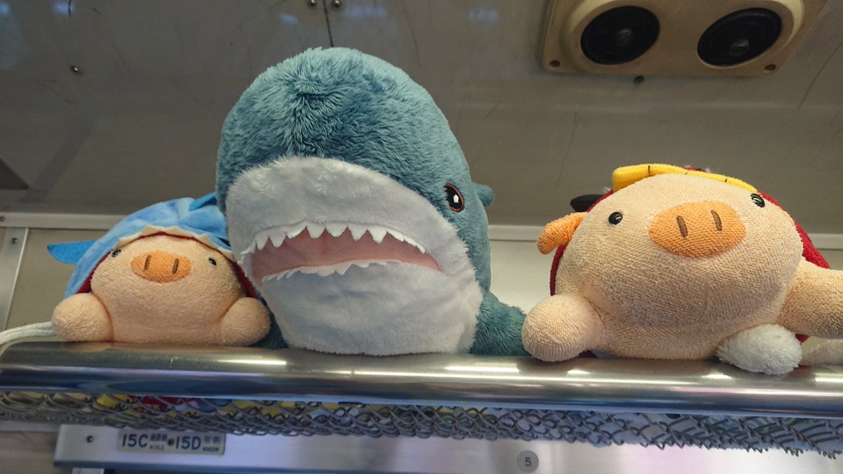 marsh_pointed's tweet image. 最近、IKEAのサメ(ブローハイ)やおでかけ子ザメ好きの方を無言フォローしまくってて、突然なんやコイツ？と思われてるかもしれないので簡単に自己紹介。
ねこあつめ･IKEAのサメ･おでかけ子ザメが大好きおばさんです。
ぬい撮りもしてるよ！
よろしくですm(*_ _)m