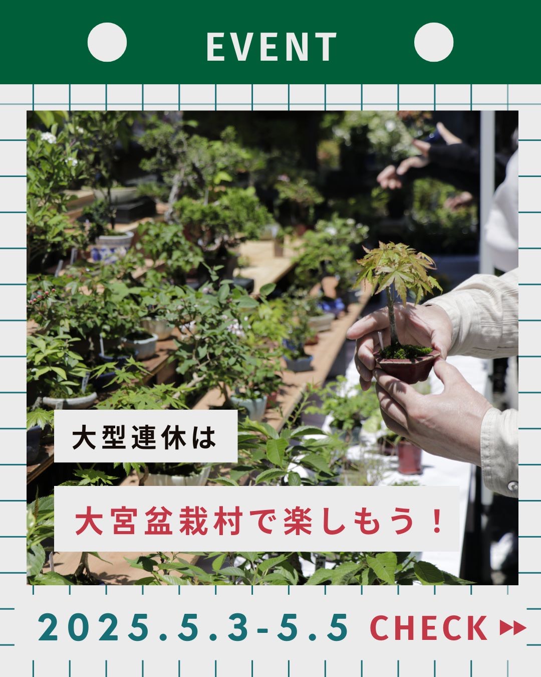 公式】大宮盆栽村100th (@omiyabonsai_100) / X