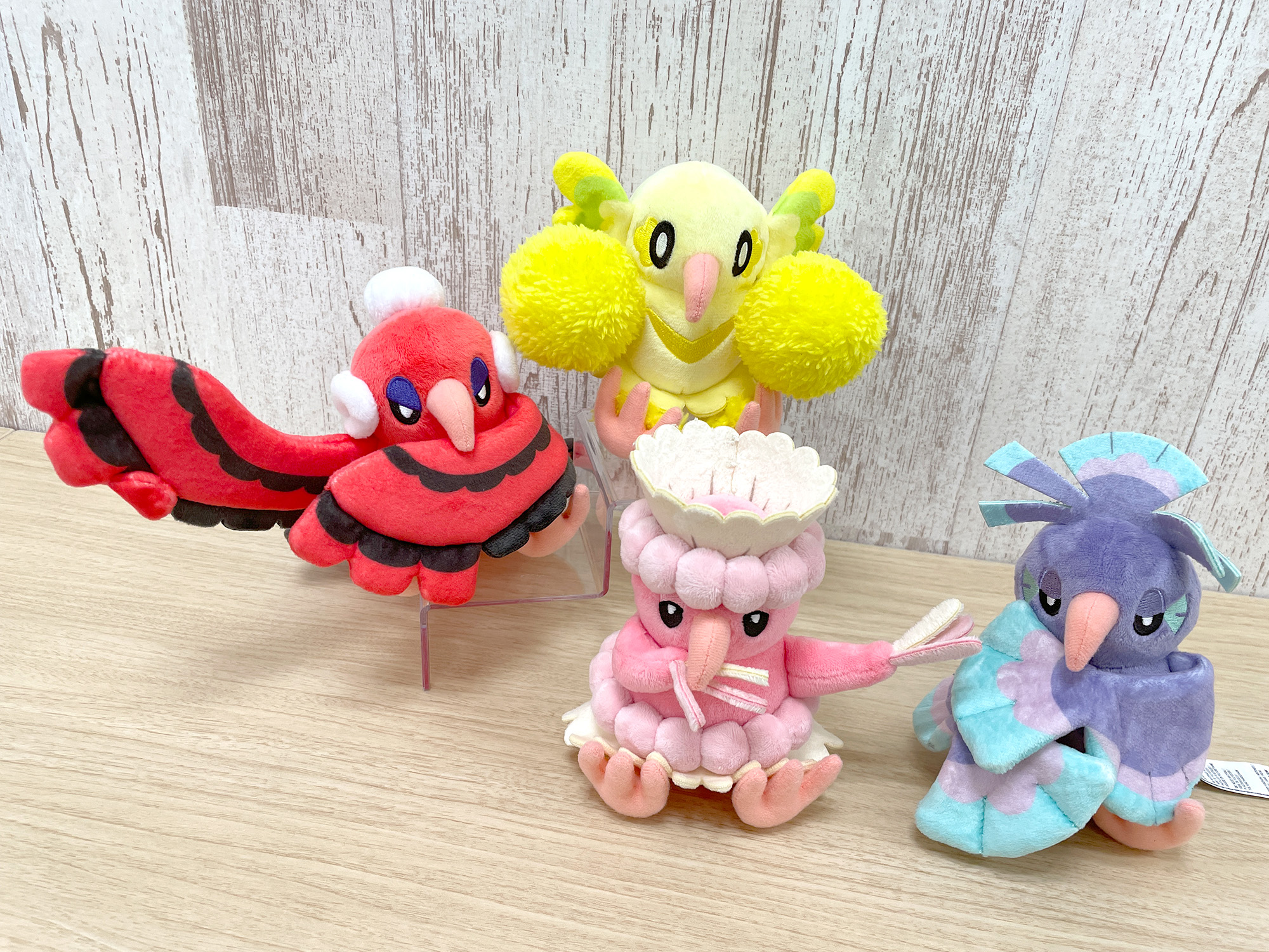 ポケモンfit まとめ売り ポケモンだいすきクラブ編集部【公式】 on X