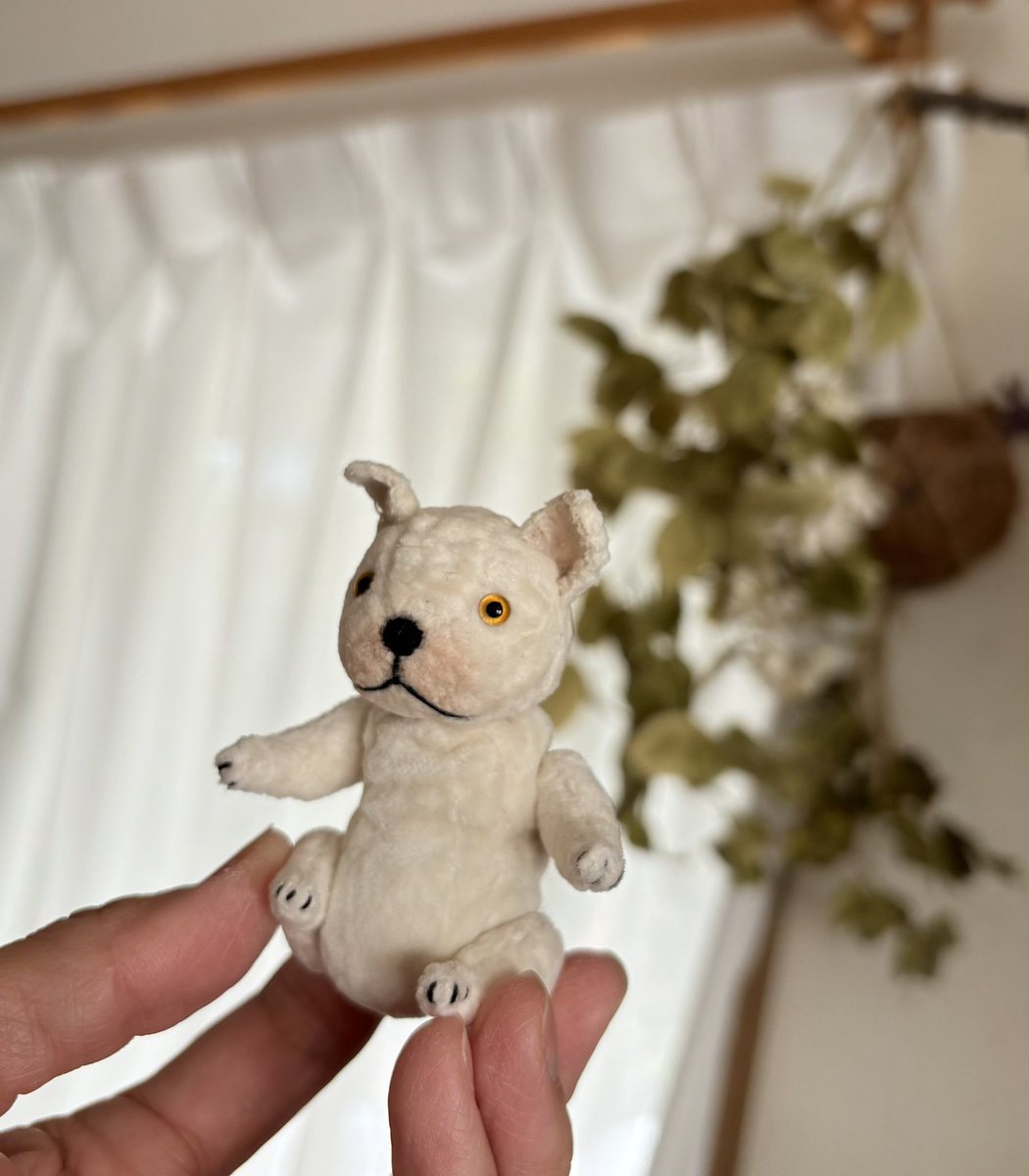 7cmのフレブルちゃん🐾
ちっこいねー