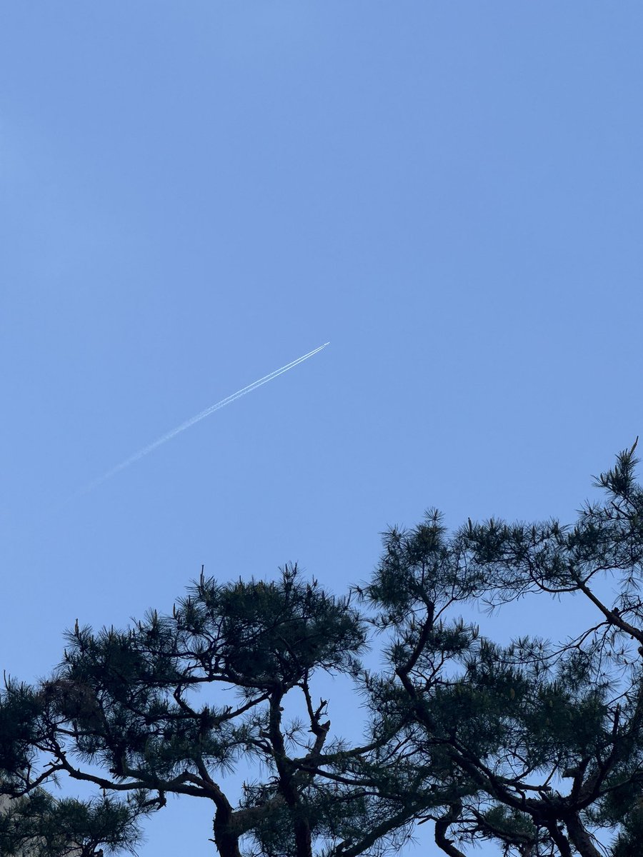 yeeeeaall's tweet photo. 삶의 온도가
딱 요즘만큼 이었으면 ~0~ https://t.co/Te1ftlJjfE