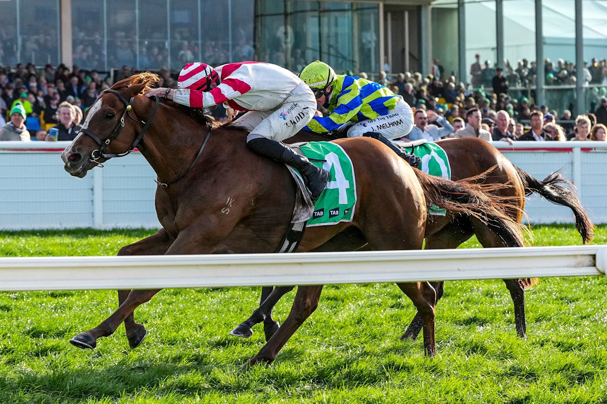 Mitchell Bloodstock (@mitchellbstock) on Twitter photo How good is the Bool 🍻
DASHING takes the Listed The Colin McKenna Wangoom for <a href="/G1Goldmine/">G1Goldmine</a> & THE CUNNING FOX wins the Galleywood for <a href="/JoefromPrime/">PRIME THOROUGHBREDS</a> - congratulations! How good is the Bool 🍻
DASHING takes the Listed The Colin McKenna Wangoom for <a href="/G1Goldmine/">G1Goldmine</a> & THE CUNNING FOX wins the Galleywood for <a href="/JoefromPrime/">PRIME THOROUGHBREDS</a> - congratulations!