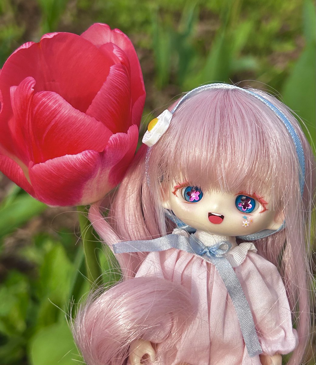 Pridolls_Ra's tweet photo. 봄이 너무 좋아요 ٩(๑❛ᴗ❛๑)۶🌷🌸 https://t.co/JTdHTRbdNm