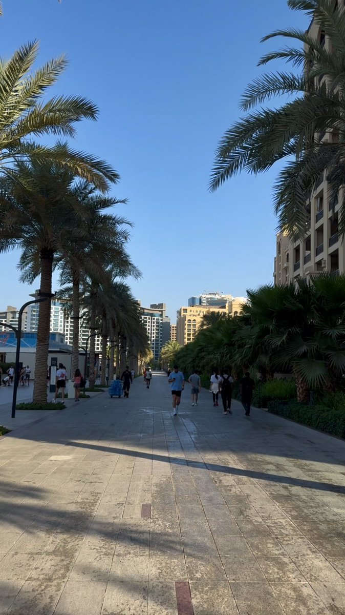 Corinne Bernett (@corinnebernett) on Twitter photo At token2049 with the <a href="/NibiruChain/">Nibiru Chain 🩵🌸</a> team. Just did a morning run with Bankless VC. Been loving all the fitness oriented events 👏👏👏 At token2049 with the <a href="/NibiruChain/">Nibiru Chain 🩵🌸</a> team. Just did a morning run with Bankless VC. Been loving all the fitness oriented events 👏👏👏