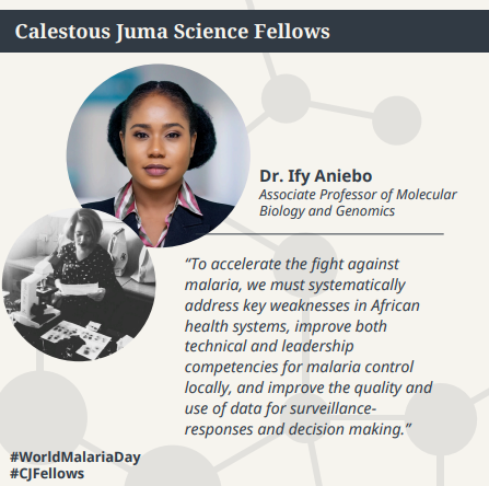 These champions are on a mission to make malaria a thing of the past.

See what the Calestous Juma Fellows have to say about how African-led innovation is advancing the fight across the continent. 

Stand with them and their science, and share their stories ⬇️
