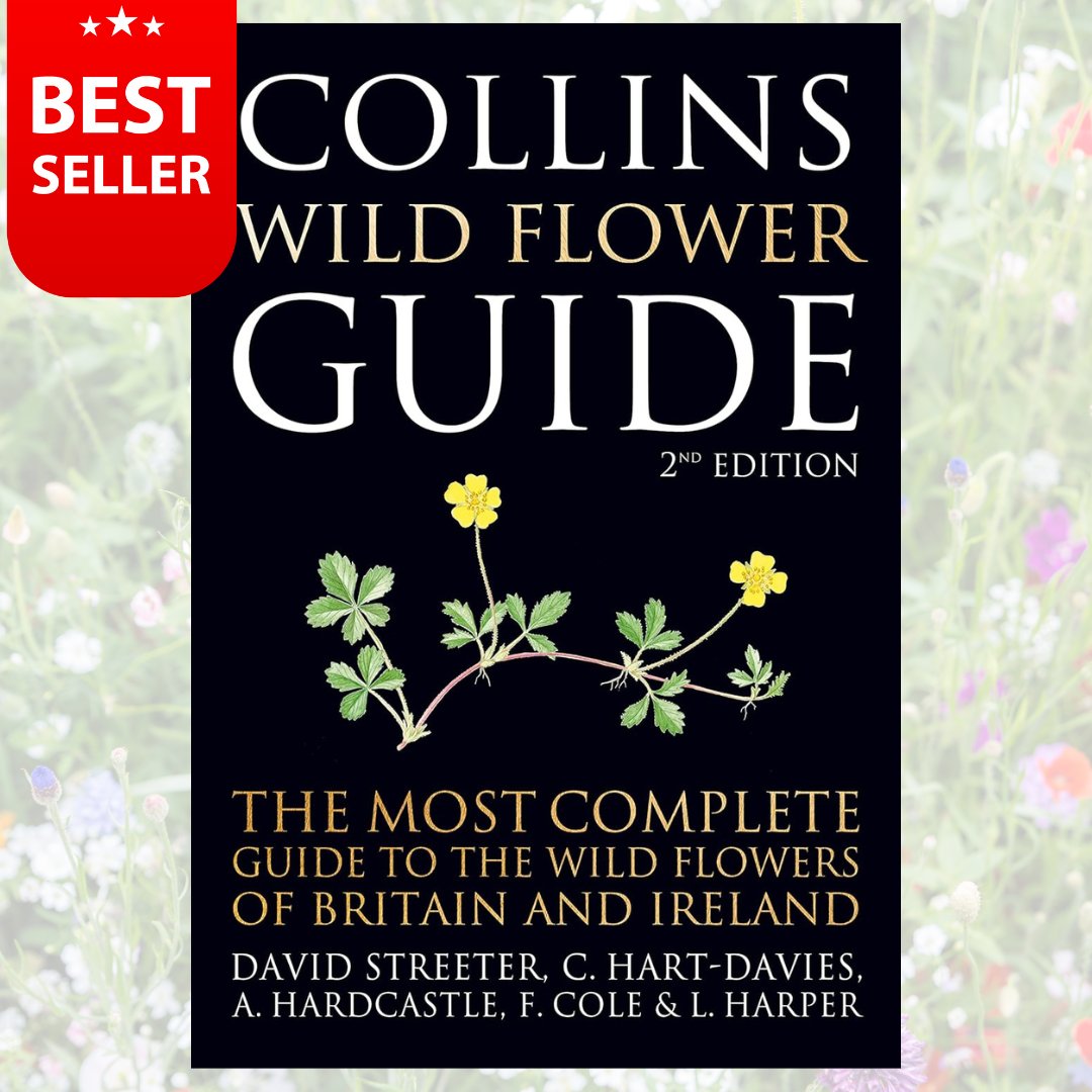 british wild flowers in relation to ‥ il_340x270.3348071318_6oss.jpg