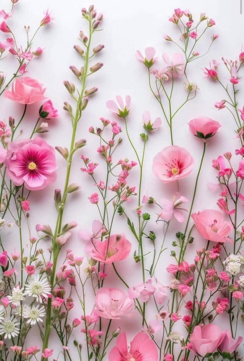 G ü n a y d ı n 💕