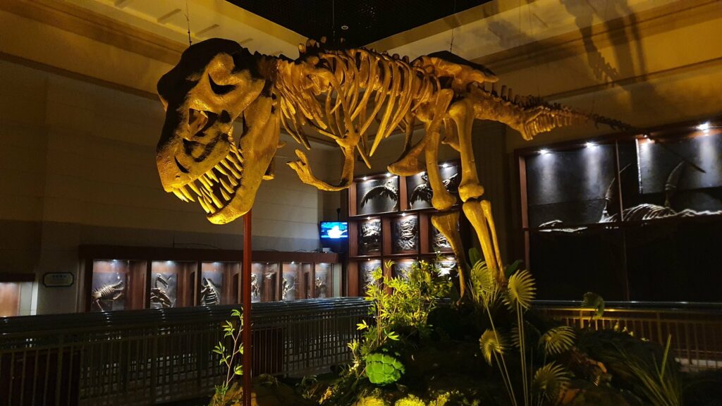 Team_DRDB's tweet image. 19 years ago, Fantawild opened their first theme park in Chongqing, China. Today we embark on a multi-part series of special articles that take a look at the rich portfolio of dark and show rides from the Fantawild brand: darkridedatabase.com/exploring-fant… #drdb #darkridedatabase #fantawild