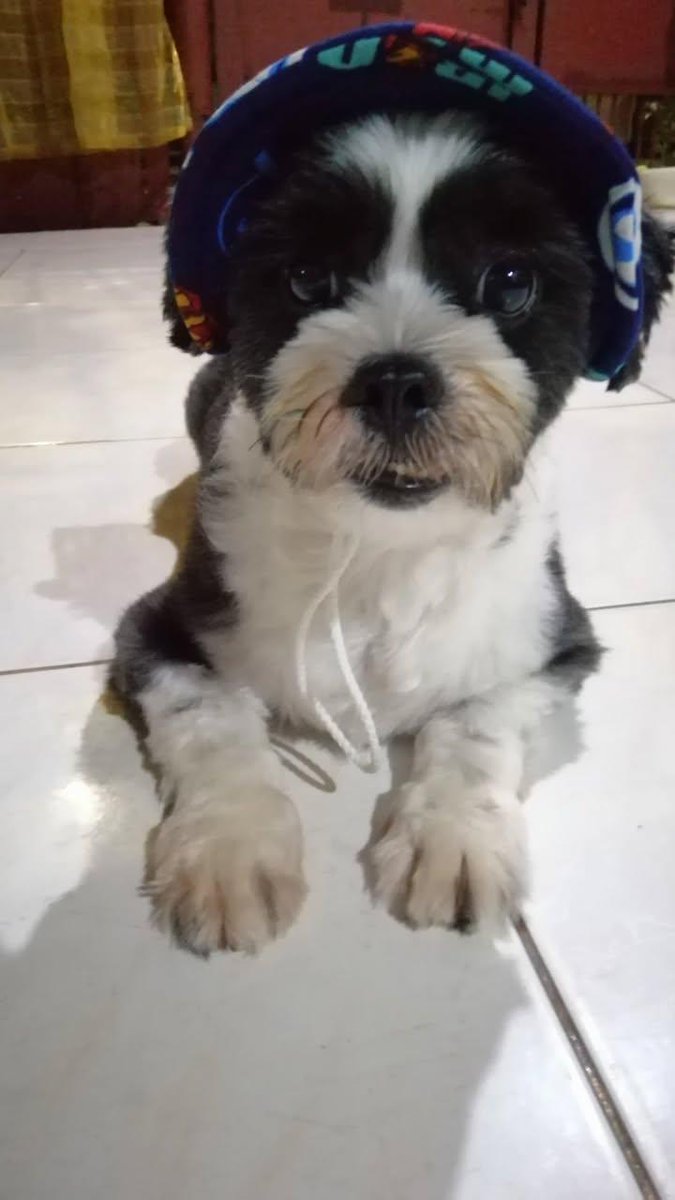 Lemovesnomore's tweet photo. I will never not miss you and you'll forever have a place in my heart. I'll always love you baby. https://t.co/43Fu0l7ZIr