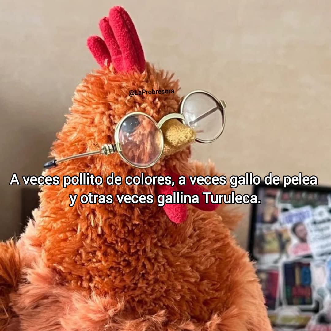 En Júpiter (@en_jupiter_) on Twitter photo 