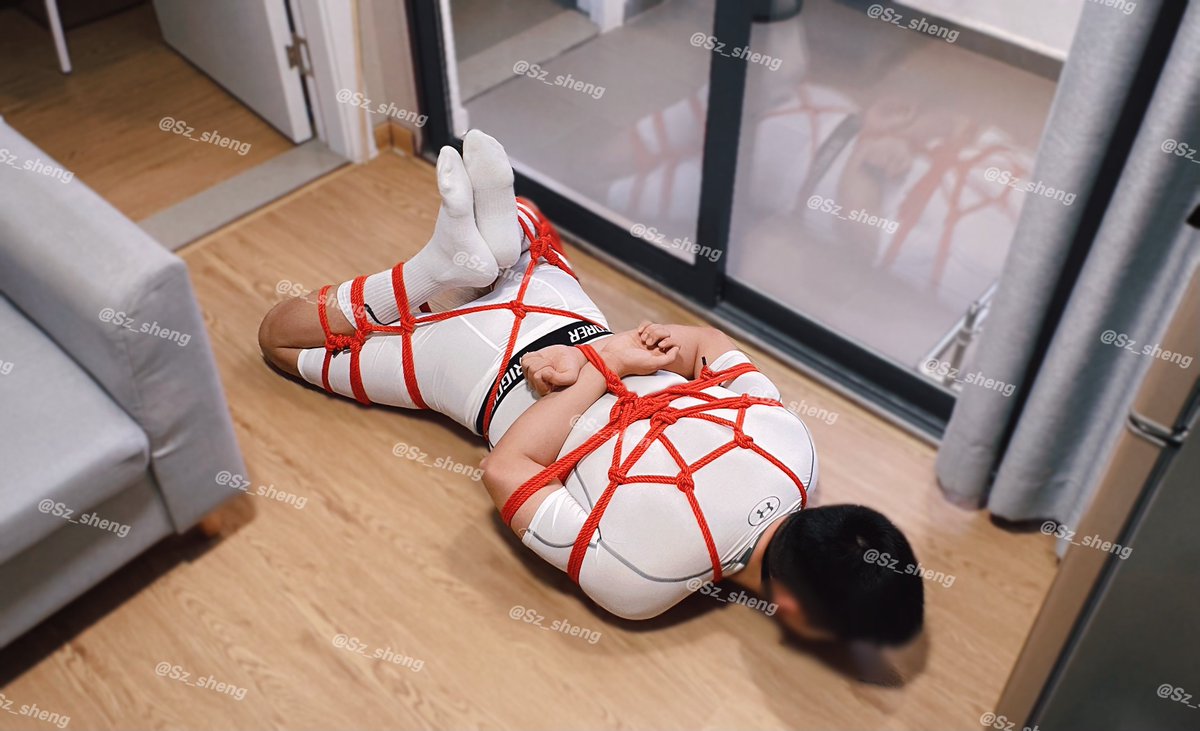 把你打扮成未拆封的白色玩具
平时你需要面露威严维持秩序挺累的吧
今天好好休息吧不会有人捣乱了