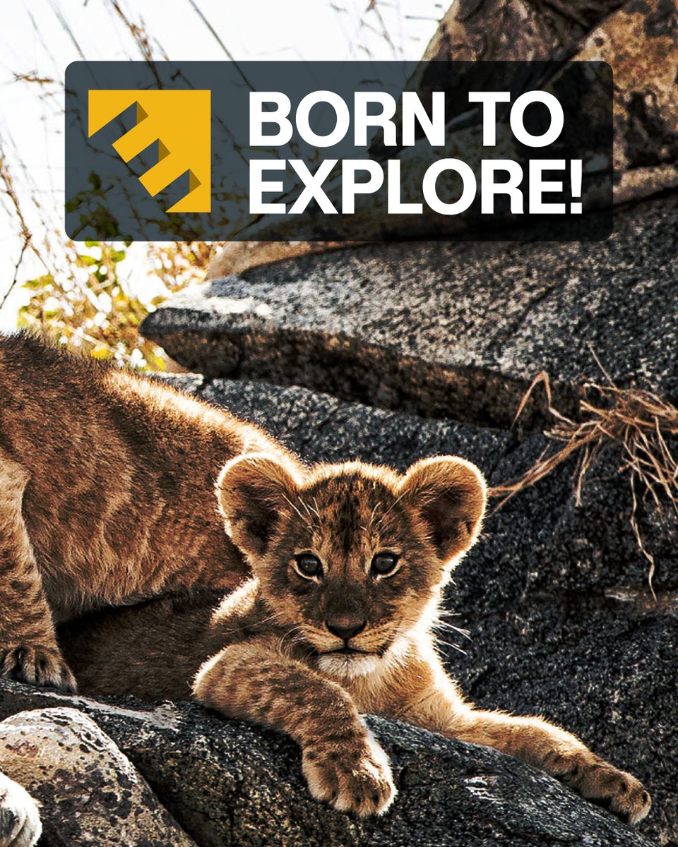 LabExpedition's tweet photo. With a passion for overlanding, our founders have explored every terrain, from the Kalahari dunes to Botswana’s delta.🏕️

Join us and experience their favourite spots firsthand: https://t.co/WpyF44v7xa.

#TheExpeditionLab #BeyondHome #AdventureAwaits #ExploreMore #Overlanding https://t.co/MzBtL9kSNP