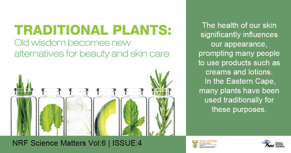 NRF_News's tweet image. #NRFScienceMatters A research study funded by the NRF investigated the traditional plants to determine how effective they really are. It aimed to connect old wisdom with modern science to potentially lead to the creation of new, natural skincare products: nrf.ac.za/science-matter…