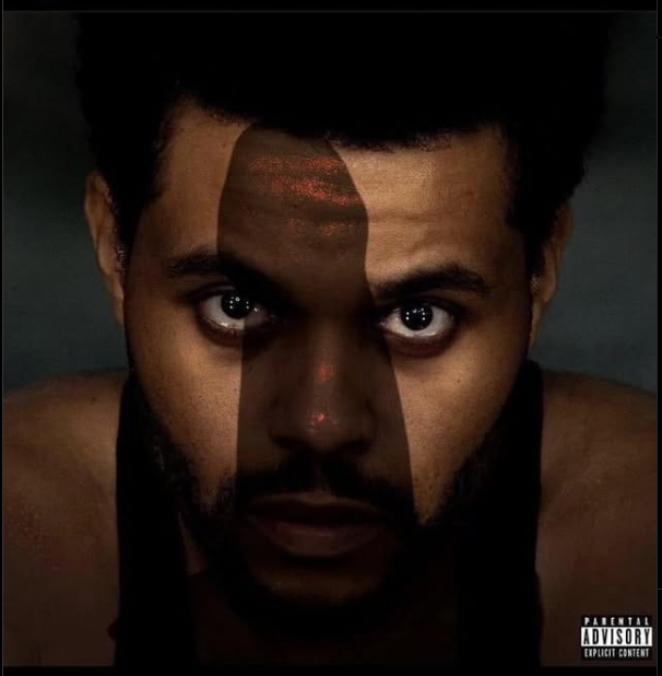 What <a href="/blknoiz06/">Ansem 🐂🀄️</a> sees as soon as he enters the gorilla enclosure