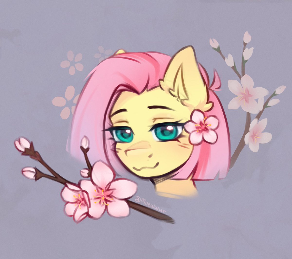 cherry blossom season 🌸🌿

#mlpfim #Fluttershy #mlpg4