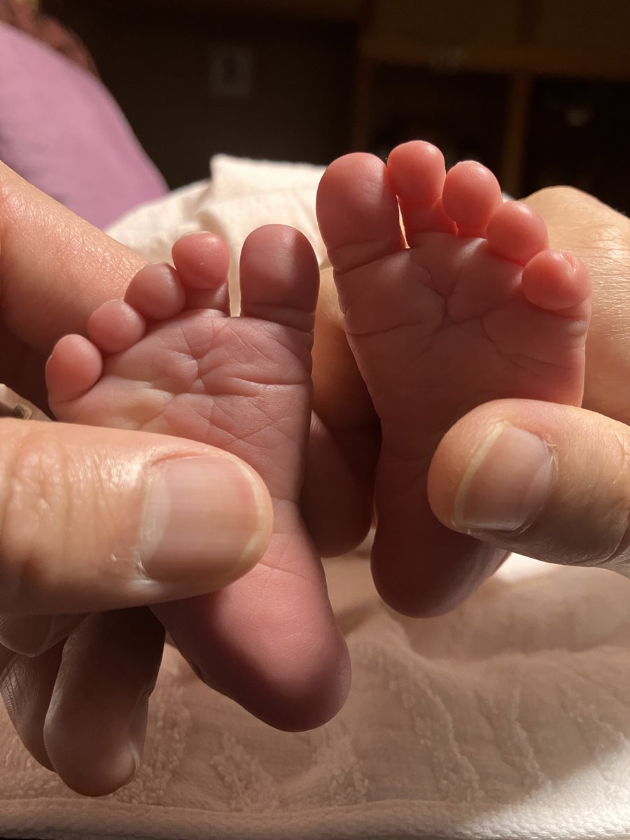 ぜーれ tweet media