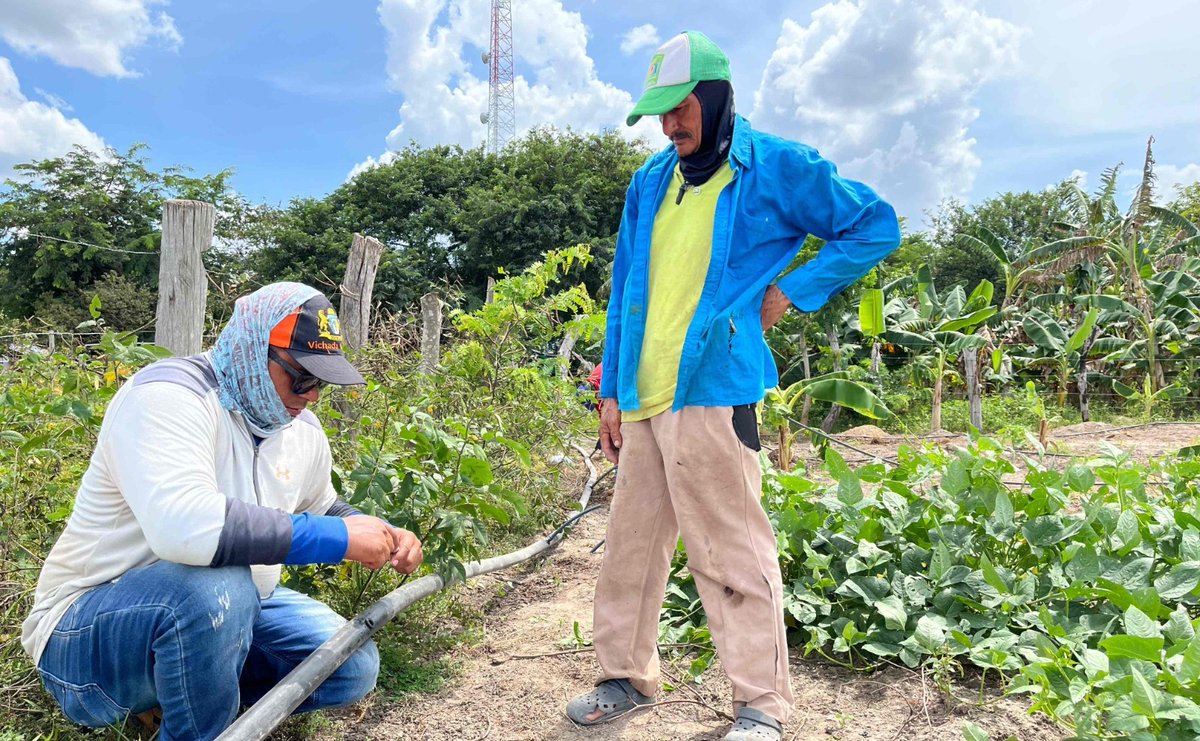 Fundación Alpina y Comunidades indígenas del Vichada impulsan agricultura sostenible con cultivo de marañón casanareonline.co/fundacion-alpi… #CasanareOnline #Vichada #AgriculturaSostenible #DíaDeLaTierra <a href="/FundacionAlpina/">Fundación Alpina</a> <a href="/Alpina/">Alpina</a> <a href="/GobVichada/">Gobernacion Vichada</a>