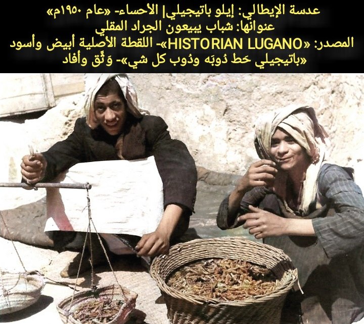 shebar31's tweet photo. «حاط دُوبَه»
حَطَّ: وضع..
الدأب: العادة والشأن..
«حاط دُوبَه ودُوبي»- يناكفني بتواصلٍ وإصرارٍ.
«من چان هادا دُوبَه»- هذه طباعه وعاداته غير المقبولة وقد ألفها وعاش بها.
«حاط دُوبك ودُوب أخوَتك الجَهَال»- الأم تنهر ولدها الكبير «الدَّبِير»؛ لاستقوائه على أشقائه.
#تراث_زكي_العوامي https://t.co/RrCzbtsdGY