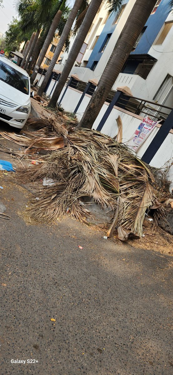newguy_Pinaki's tweet photo. @PMCPune lot of big tree leaves and other garbage needs to be cleaned in 151 Dnyandeep Society road Magarpatta, behind Noble Hospital https://t.co/oeSG6W7rD9