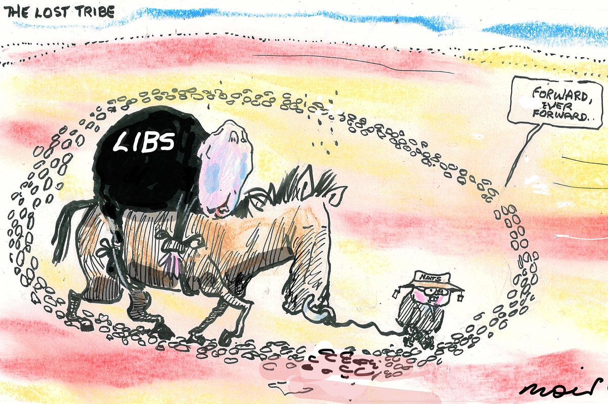 support Moir Cartoons at moir.com.au