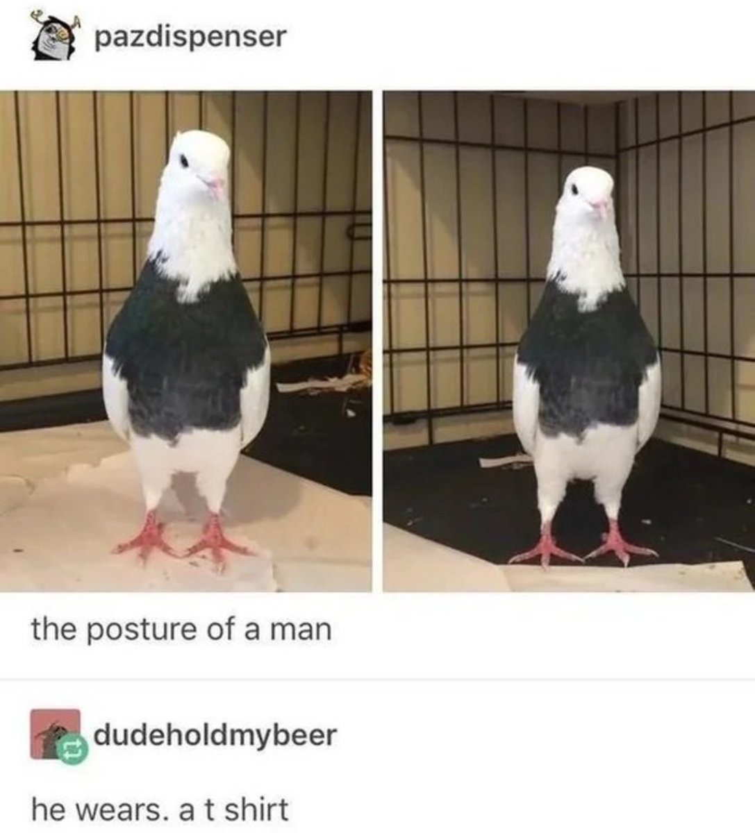Images AI Could Never Recreate tweet media