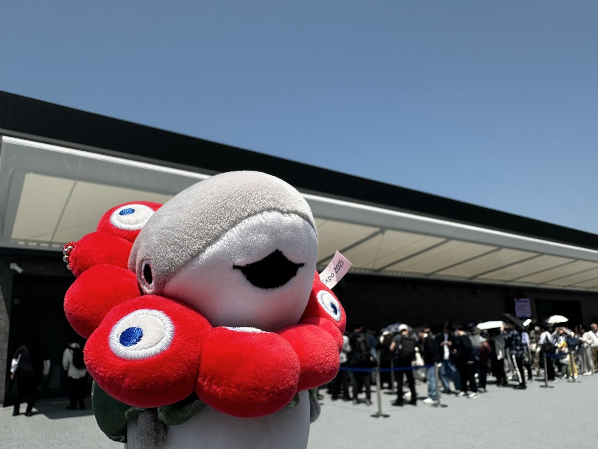 グリーティングの会場は、
EXPO メッセ「WASSE」です🦈

▼本日4月30日▼
🦈12:45〜
🦈15:45〜

amtf.go.jp
#AMTF #EXPO2025 #大阪・関西万博