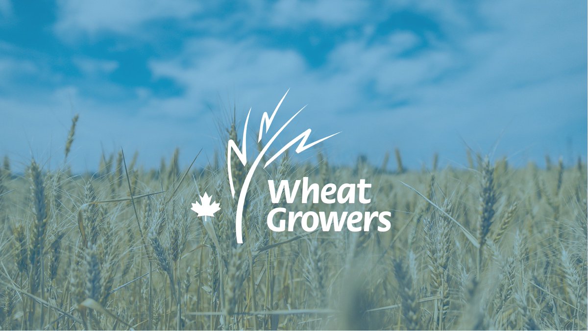 A new Parliament brings new opportunities.

Congratulations to Prime Minister Mark Carney and the elected members of Canada’s 45th Parliament.

The Wheat Growers are ready to engage constructively with government on the real issues impacting grain producers — from trade and input