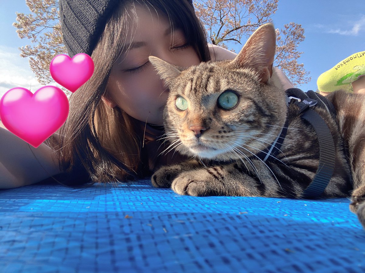 小森千沙 tweet media