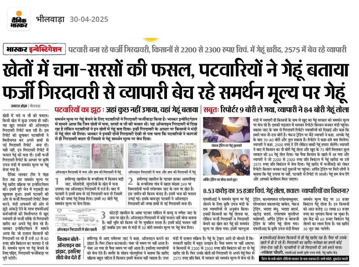 PhotoSukdev's tweet photo. पटवारियों का झूठ: जहां कुछ नहीं उगाया, वहां गेहूं बताया@ सभी फोटो । सुखदेव गाडरी
@Ajay_Rawat20 
#fci  #Highlights #CMORajasthan #RevenueDepartment #denikbhaskar https://t.co/8r5sNZEfbJ