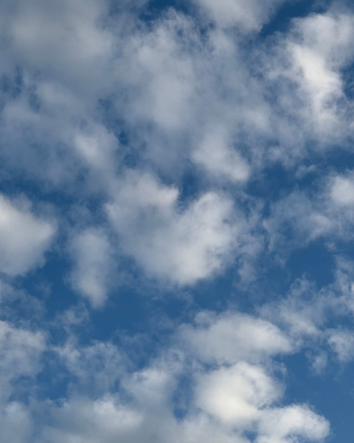 GpwGoHAbcAABizX.jpg:orig