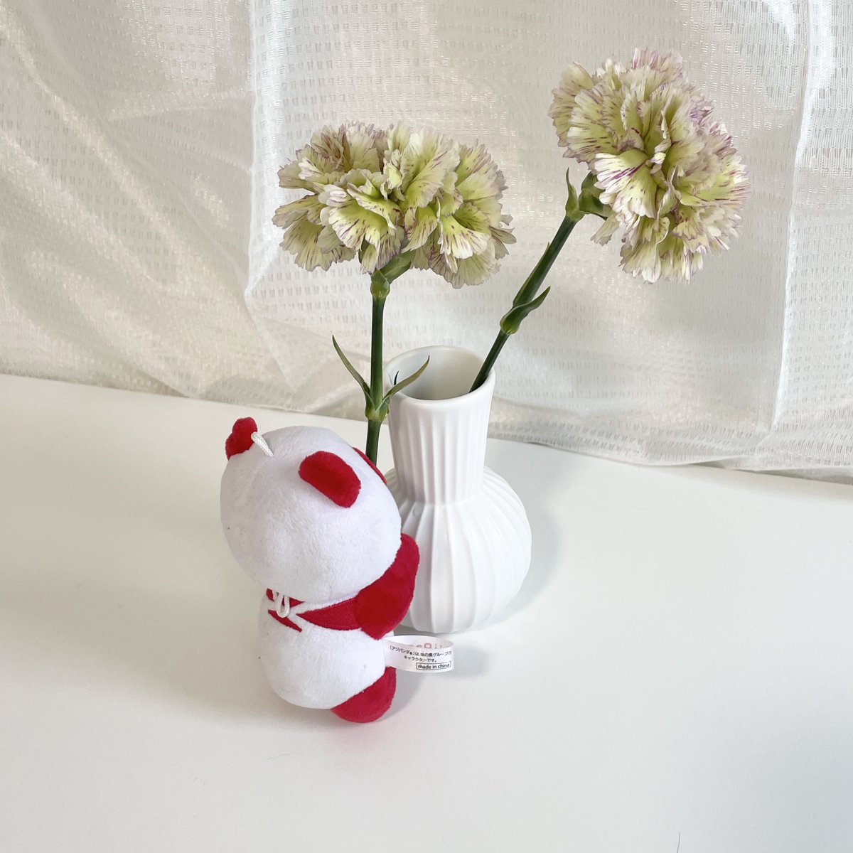 ＼「アジパンダ」のオフショットをどうぞ🐼／

みなさん、ゴールデンウィークは何をする予定ですか〜？

私は家で「アジパンダ」と一緒にゆるゆると過ごしています☺️

（食べては寝ての繰り返し…ゴールデンウィーク後半は少し運動しようかな👀）