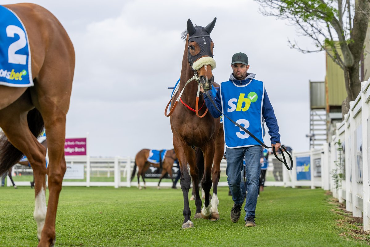 Murray Bridge GH | April 30

Silent Emmy is fresh up today over 1400m. Lachlan Neindorf takes the reins aboard the lightly raced mare in the last race of the day.

Good luck to her connections.