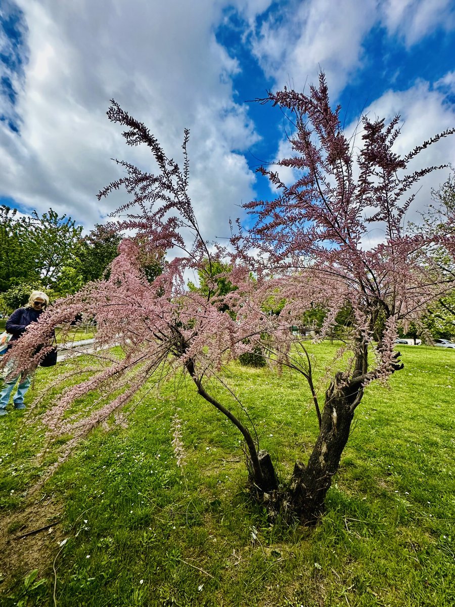 educationtr's tweet image. #April30th🌍