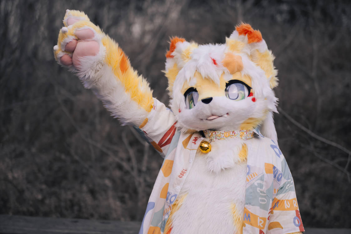 Tidal_Rui's tweet photo. 我 们不懂这星辰
只 陪伴一个人
从 深夜都浮沉
#furry #fursuit #福瑞 https://t.co/SI5RMLp6nH