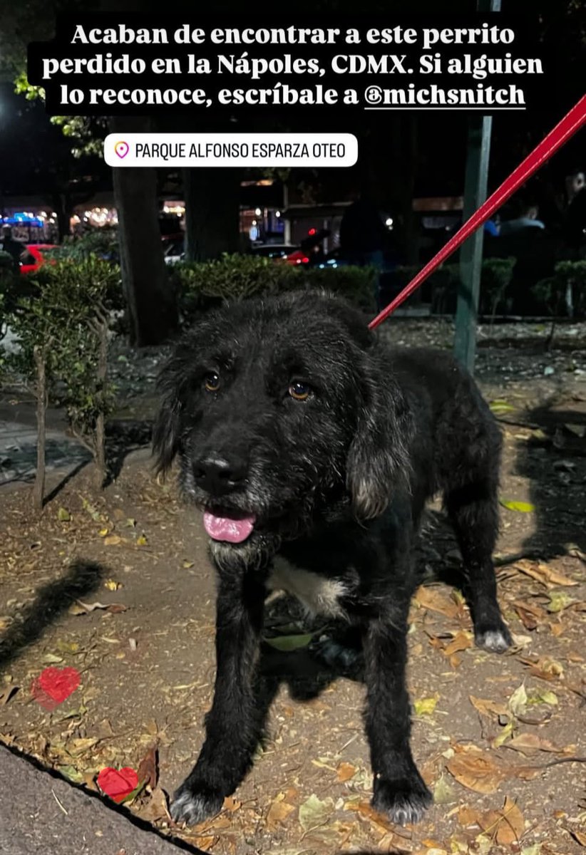 Michelle RAMIREZ BUENO tweet media