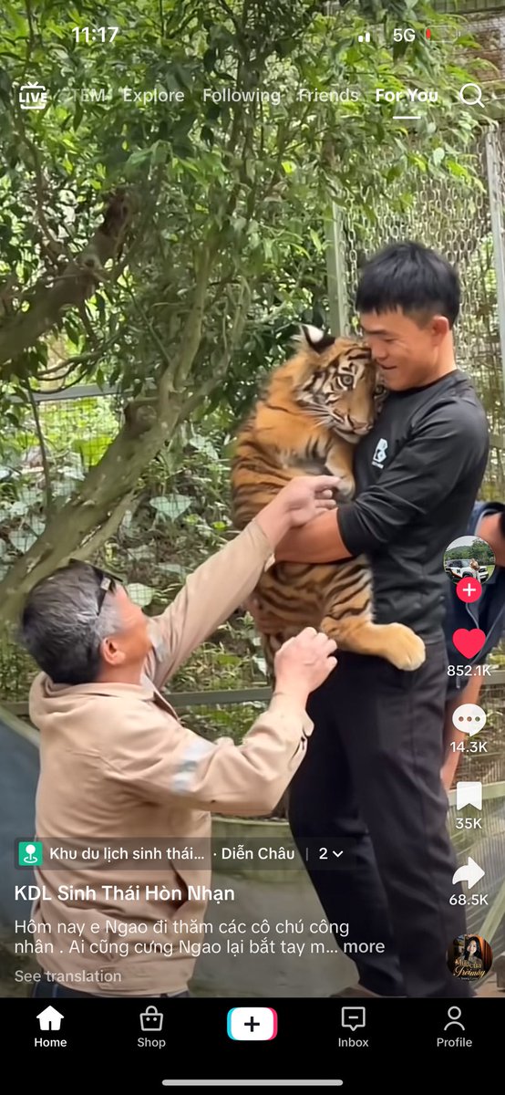 ketengahketepi's tweet photo. Rimau ni masih tak tahu dia rimau 

tunggu besar sikit baru dia sedar https://t.co/eG45KaLDTP