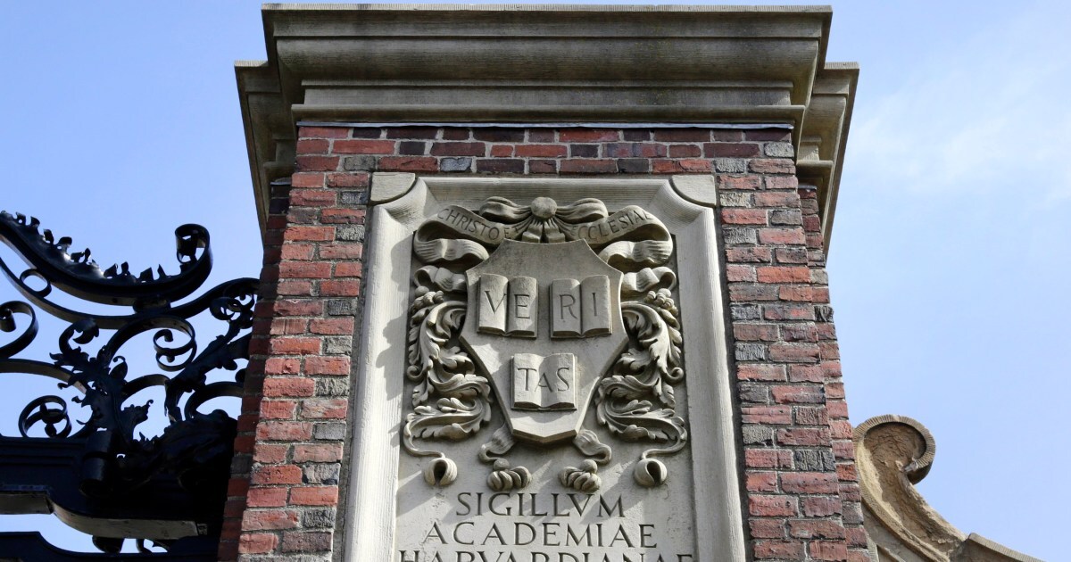 TOPXNews's tweet image. 📢 A recent report by Harvard task forces reveals troubling instances of both anti-Semitism and Islamophobia on campus. Students are expressing feelings of being marginalized in their own community. 🔍 Let&apos;s work together to foster inclusivity and understanding. 💬 #CampusUnity…