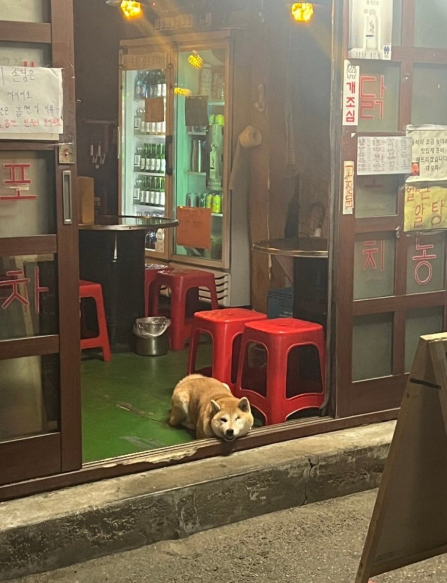 >RP
대포차(屋台店)
ソウル特別市 城東区 聖水洞二街 570-2
naver.me/Ffeg0vV7

bk_kwan1 インスタ
instagram.com/p/DJCWI3OT2PW/
(ジェジュンもコメント😆)

#ジェジュン
#김재중
#KIMJAEJOONG