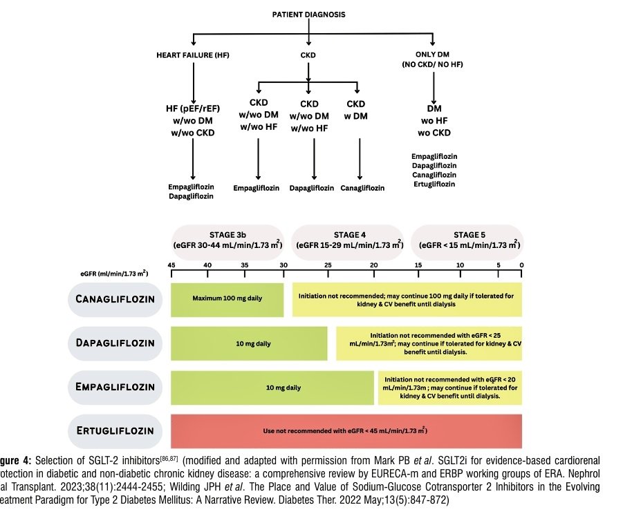 🔰Introducción temprana de iSGLT2 para mejorar la atención de la ERC en personas con o sin diabetes.

✅️Este consenso realizado por nefrologos🇮🇳 reafirma el importante papel de los iSGLT2 en el manejo de la ERC en personas diabéticas y no diabéticas.
✅️Se analiza evidencia