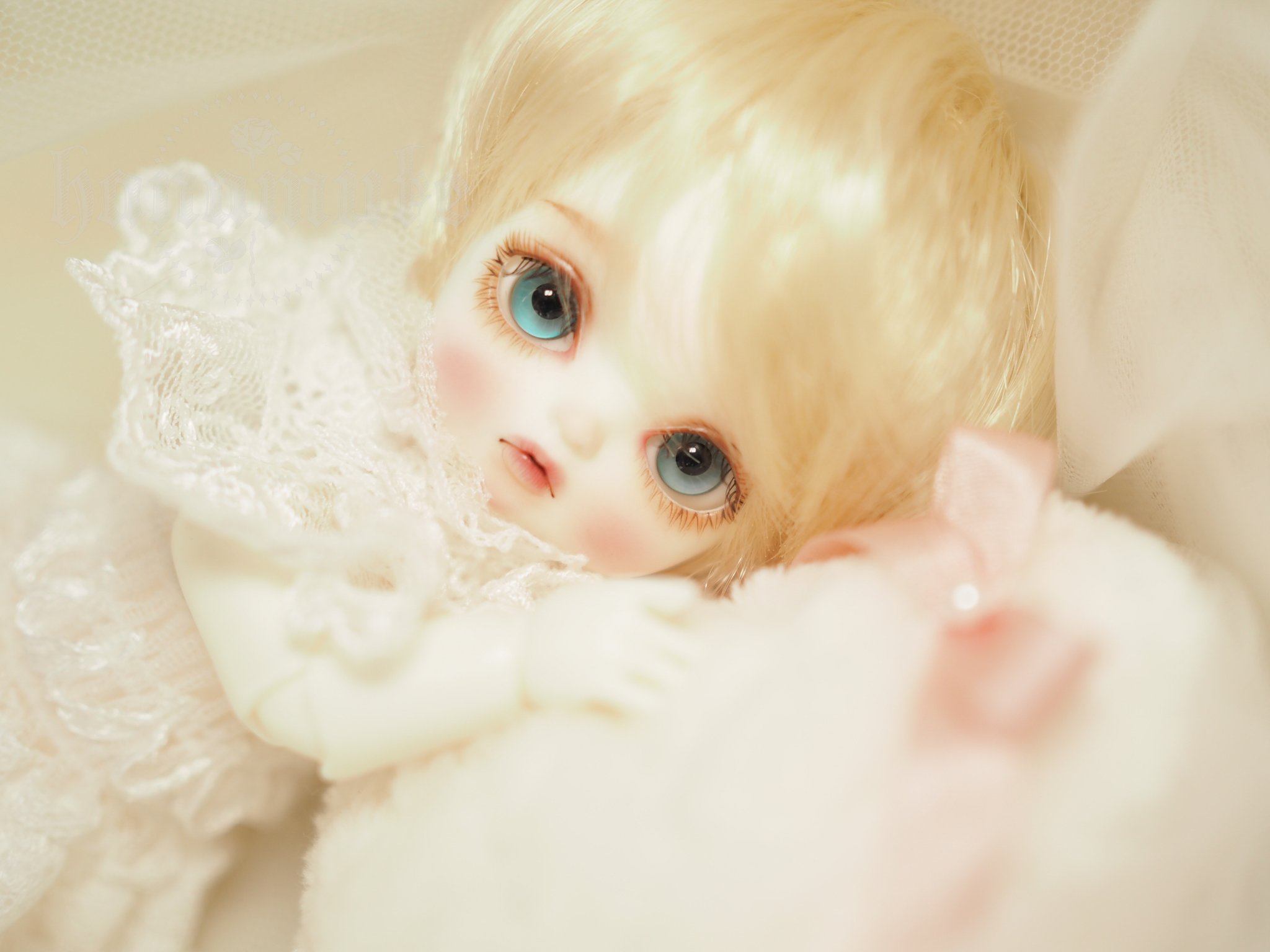ぶーちゃん (@buuchanzz) / X ぶーちゃん (@buuchanzz) / X