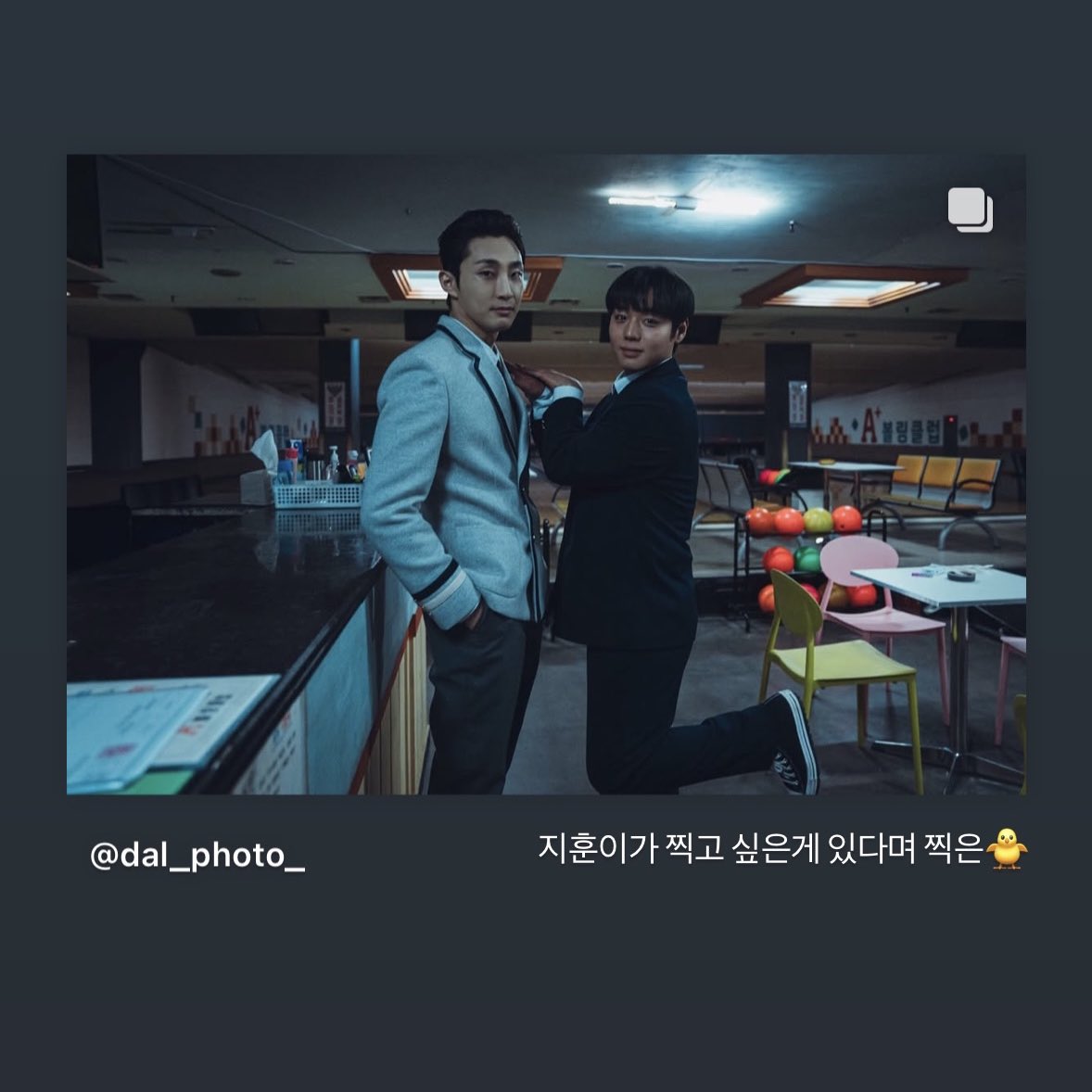 윙피포 tweet media